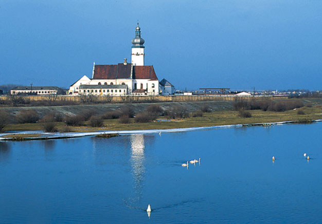 Sokal - klasztor